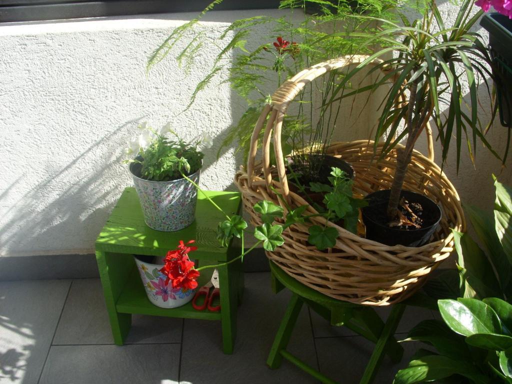 Apartments Dakovic Kotor Exterior photo