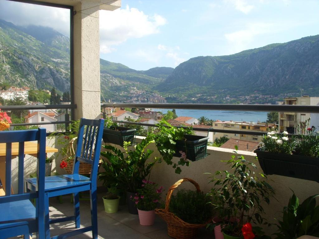 Apartments Dakovic Kotor Exterior photo