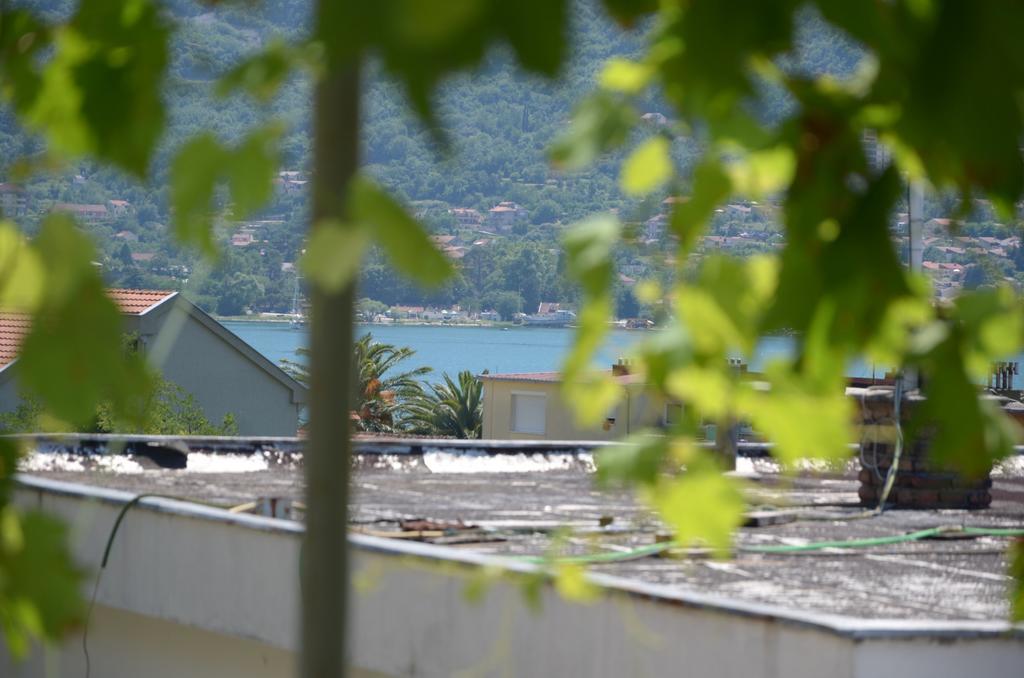 Apartments Dakovic Kotor Exterior photo
