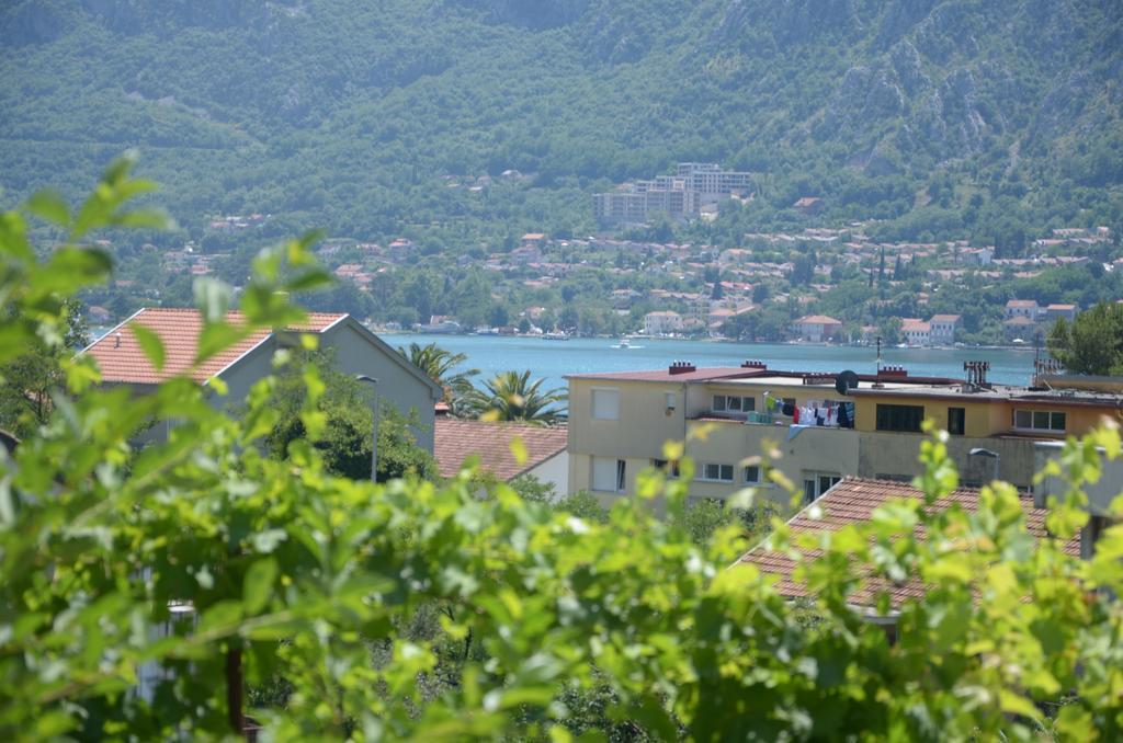 Apartments Dakovic Kotor Exterior photo