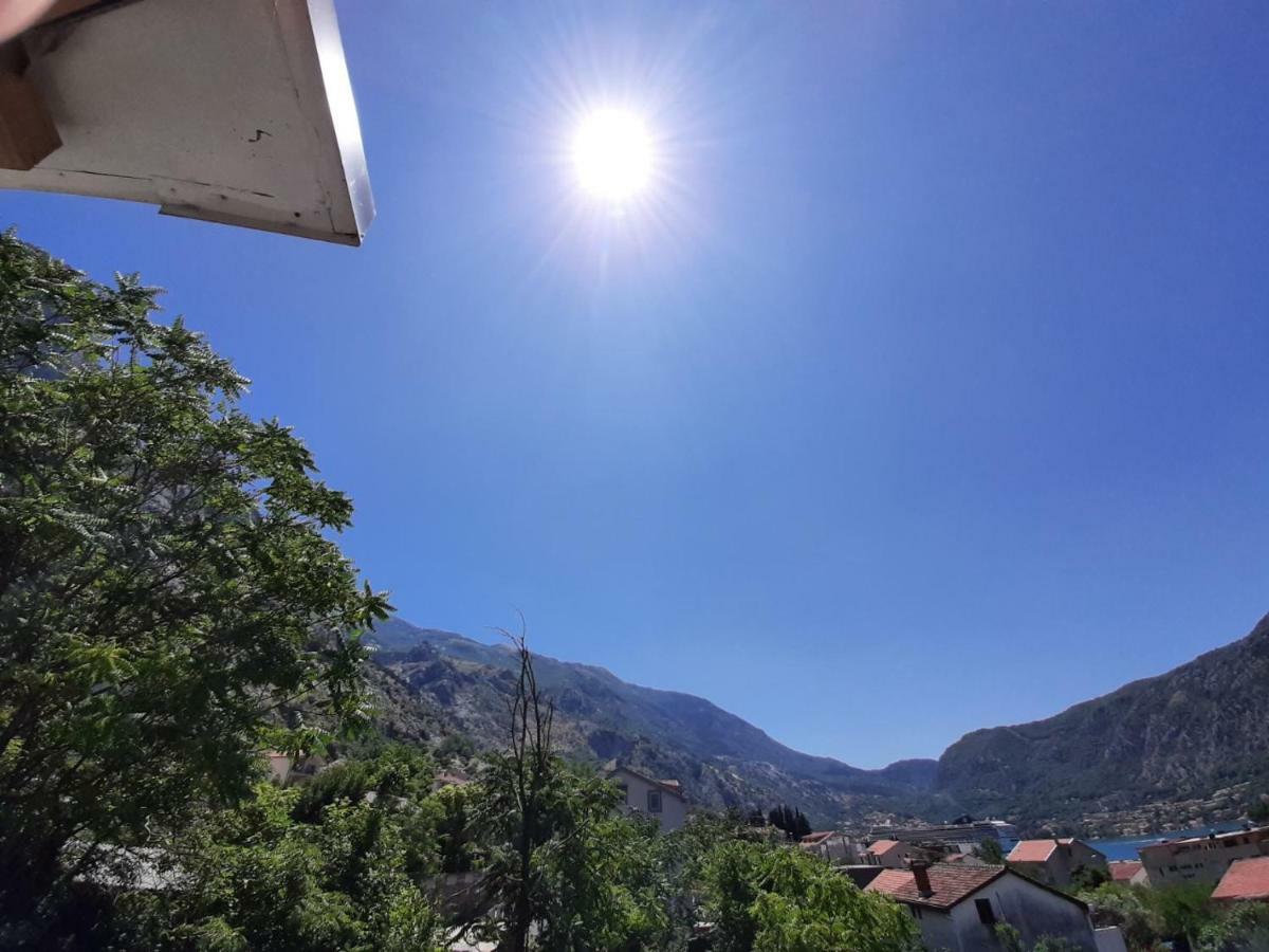 Apartments Dakovic Kotor Exterior photo