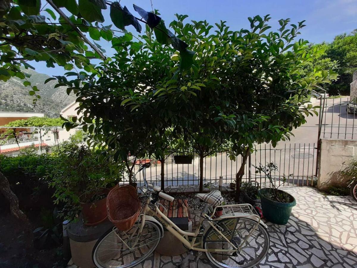 Apartments Dakovic Kotor Exterior photo